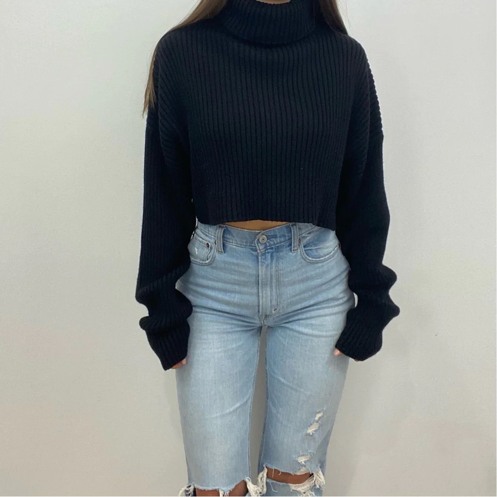 Zara Knit Turtleneck Sweater